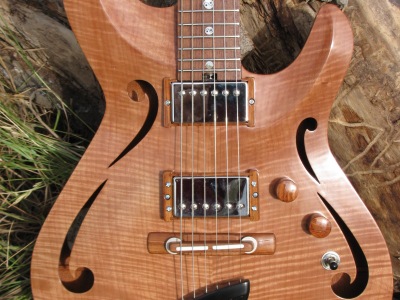 Custom Hallow Body Guitar (DJP Guitar)