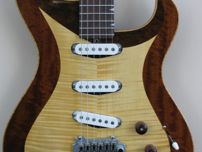 Custom Electric Guitar