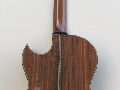 Custom Steel-String Guitar